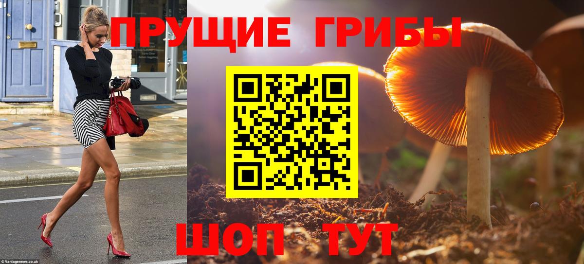 Галлюциногенные грибы мухоморы  наркота  Галлюциногенные грибы прущие грибы  Саянск  Вход с VPN 