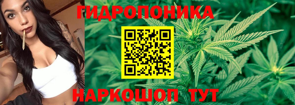 Конопля VHQ Саянск